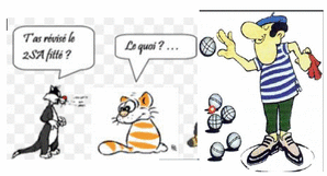 Tournoi Bridge-Pétanque